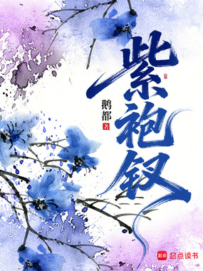 紫袍钗在线阅读