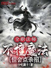 全职法师：不擅魔法，但会点杀招在线阅读