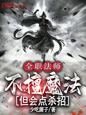 全职法师：不擅魔法，但会点杀招在线阅读