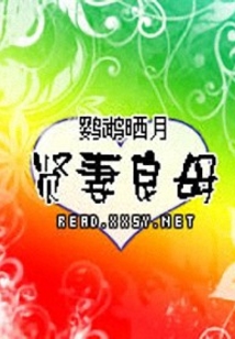 贤妻良母在线阅读