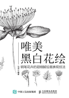 唯美黑白花绘：钢笔花卉的超细腻绘画表现技法在线阅读