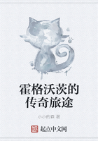霍格沃茨的傳奇旅途在線閱讀