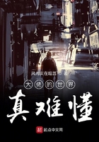 大佬的世界真难懂在线阅读
