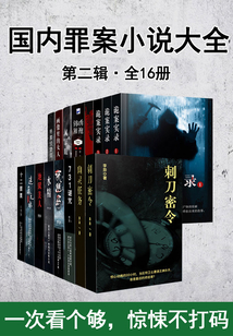 國內罪案小說大全·第二輯（全16冊）