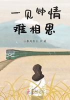 一見鐘情難相思在線閱讀
