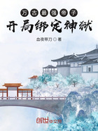 系统流