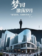 梦回激荡岁月在线阅读