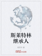 斯莱特林继承人在线阅读