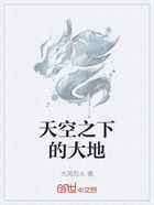 天空之下的大地在线阅读