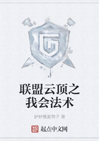聯(lián)盟云頂之我會(huì)法術(shù)在線閱讀