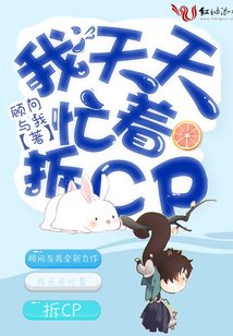 我天天忙著拆CP