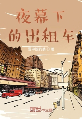 夜幕下的出租车在线阅读