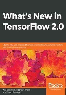 What's New in TensorFlow 2.0