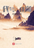 代号:江湖在线阅读