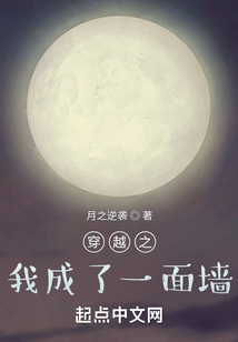 穿越之我成了一面墻