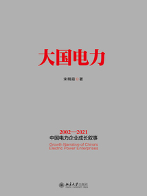 大國電力