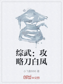 綜武：攻略刀白鳳