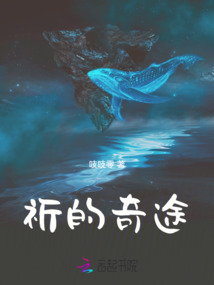 祈的奇途