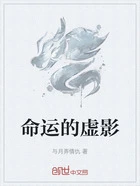 命运的虚影在线阅读