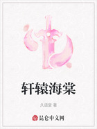 轩辕海棠在线阅读