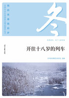 “我的青春我的梦”全国中学生校园美文精品集萃丛书:开往十八岁的列车在线阅读