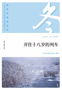 “我的青春我的夢”全國中學(xué)生校園美文精品集萃叢書:開往十八歲的列車