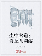 塵中大道：青丘九闕游在線閱讀