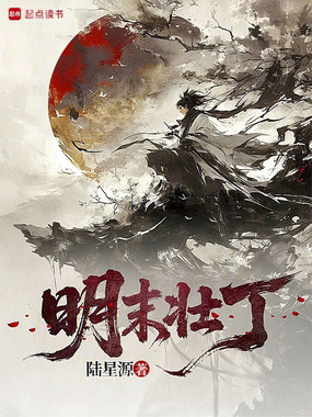 明末壮丁在线阅读