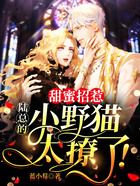 甜蜜招惹：陸總的小野貓太撩了！在線閱讀