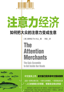 注意力經(jīng)濟:如何把大眾的注意力變成生意