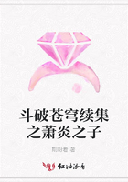 斗破蒼穹續集之蕭炎之子在線閱讀