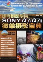 蜂鸟摄影学院SONY α7/α7II微单摄影宝典在线阅读