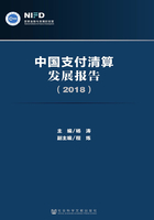 中国支付清算发展报告（2018）