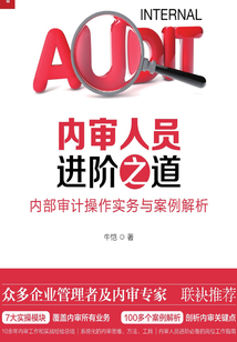 內(nèi)審人員進(jìn)階之道:內(nèi)部審計操作實務(wù)與案例解析
