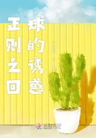 正則之回球的誘惑在線閱讀