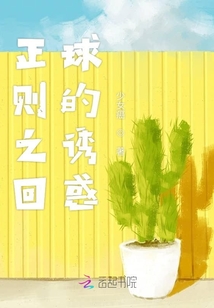 正則之回球的誘惑