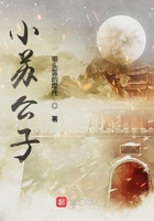 小蘇公子在線閱讀