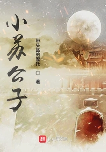 小蘇公子