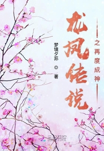 龙凤传说之再度成神