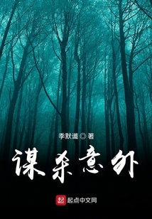 謀殺意外