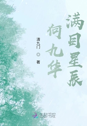 何九华满目星辰在线阅读