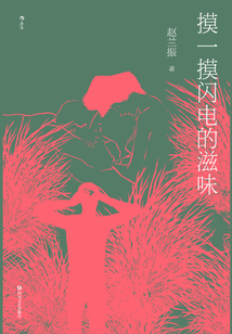 摸一摸闪电的滋味