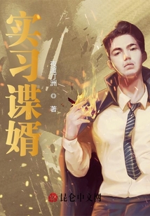 實習諜婿