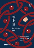 第七带(北欧文学译丛)在线阅读