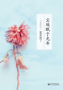塵埃眠于光年
