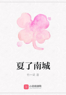 夏了南城