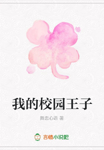 我的校园王子