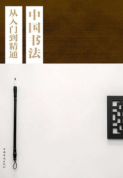 中国书法从入门到精通 封面