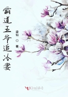 霸道王爺追冷妻在線閱讀
