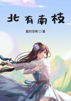 北有南枝在線閱讀